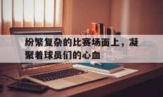 纷繁复杂的比赛场面上，凝聚着球员们的心血的简单介绍