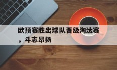 关于欧预赛胜出球队晋级淘汰赛，斗志昂扬的信息