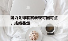 国内足球联赛表现可圈可点，成绩斐然的简单介绍