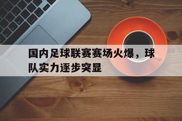 国内足球联赛赛场火爆，球队实力逐步突显的简单介绍