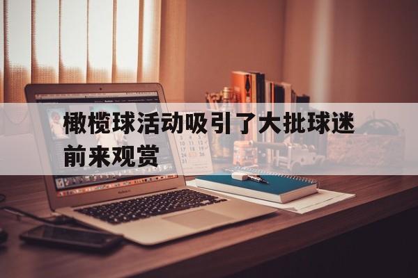 橄榄球活动吸引了大批球迷前来观赏的简单介绍