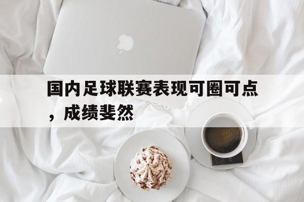 国内足球联赛表现可圈可点，成绩斐然的简单介绍